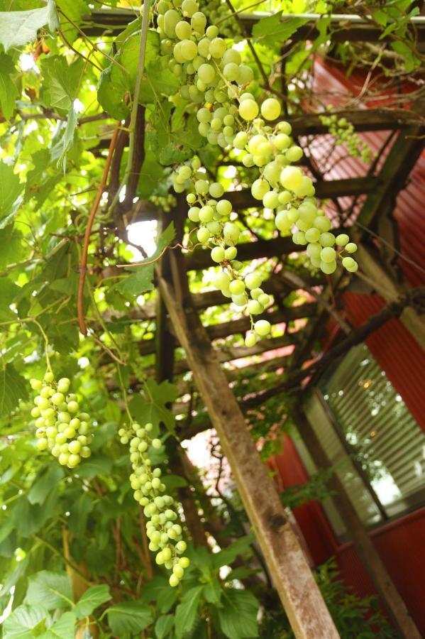הוסטל טוקיו Grapehouse Koenji מראה חיצוני תמונה